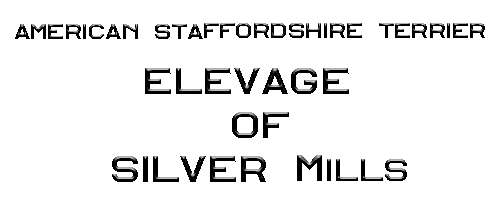 logo texte